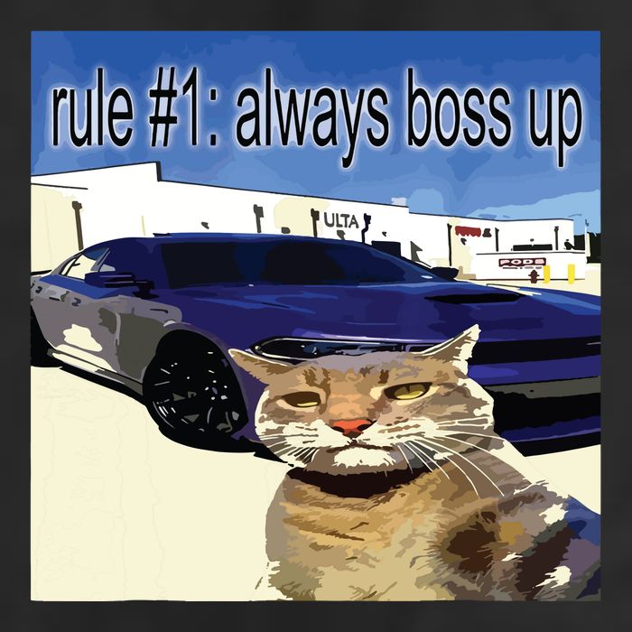 Rule 1 Always Boss Up Funny Cat Oddly Specific Dank Meme Trucker Hat
