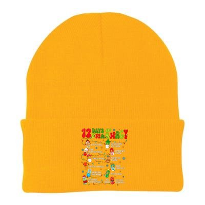 Retro 12 Days Of Pharmacy Crew Christmas Pharmacists Tech Great Gift Knit Cap Winter Beanie