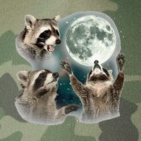 Raccoon 3 Racoons Howling At Moon Funny Weird Cursed Legacy Tie Dye Trucker Hat