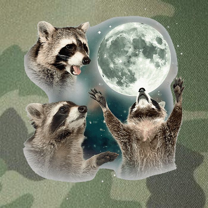 Raccoon 3 Racoons Howling At Moon Funny Weird Cursed Legacy Tie Dye Trucker Hat