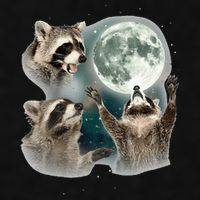 Raccoon 3 Racoons Howling At Moon Funny Weird Cursed Ladies PosiCharge Tri-Blend Wicking Tank