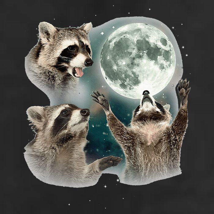 Raccoon 3 Racoons Howling At Moon Funny Weird Cursed Cool Comfort Performance Bucket Hat