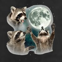 Raccoon 3 Racoons Howling At Moon Funny Weird Cursed 7 Panel Mesh Trucker Snapback Hat