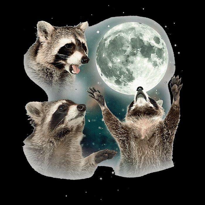 Raccoon 3 Racoons Howling At Moon Funny Weird Cursed Apron