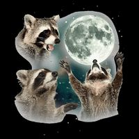 Raccoon 3 Racoons Howling At Moon Funny Weird Cursed 7-Panel Snapback Hat