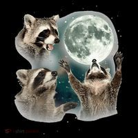 Raccoon 3 Racoons Howling At Moon Funny Weird Cursed Zip Tote Bag