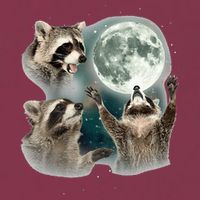 Raccoon 3 Racoons Howling At Moon Funny Weird Cursed 16oz Travel Tumbler