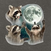 Raccoon 3 Racoons Howling At Moon Funny Weird Cursed Cotton Canvas Backpack