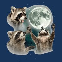 Raccoon 3 Racoons Howling At Moon Funny Weird Cursed Infant Baby Jersey Bodysuit