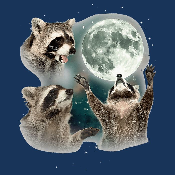 Raccoon 3 Racoons Howling At Moon Funny Weird Cursed Infant Baby Jersey Bodysuit