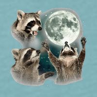 Raccoon 3 Racoons Howling At Moon Funny Weird Cursed Sueded Cloud Jersey T-Shirt