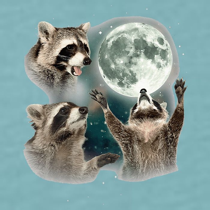 Raccoon 3 Racoons Howling At Moon Funny Weird Cursed Sueded Cloud Jersey T-Shirt