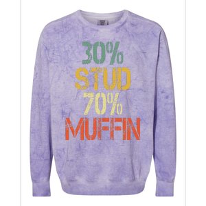 Retro 30 Stud 70 Muffin Sarcasm Dad Bod Figure Colorblast Crewneck Sweatshirt