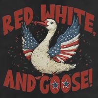Retro 4th Of July Goose America Coquette Memorial Day Gifts Beanie