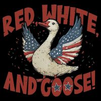 Retro 4th Of July Goose America Coquette Memorial Day Gifts Premium T-Shirt