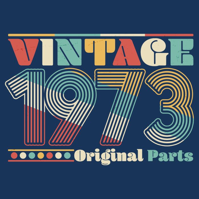 Retro 60s 70s Style Vintage 1973 Original Parts 50th Birthday Women's V-Neck T-Shirt