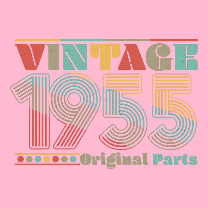 Retro 60s 70s Style Vintage 1955 Original Parts 70th Birthday Premium T-Shirt