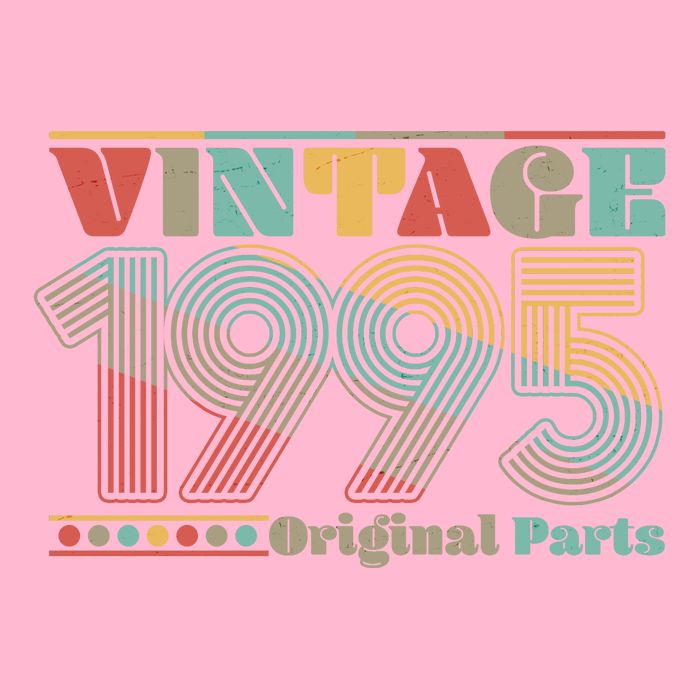 Retro 60s 70s Style Vintage 1995 Original Parts 30th Birthday Premium T-Shirt
