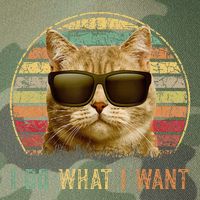 Retro 70s 80s 90s Meowy Cat I Do What I Want Funny Cat Legacy Tie Dye Trucker Hat