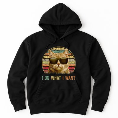 Retro 70s 80s 90s Meowy Cat I Do What I Want Funny Cat Hoodie