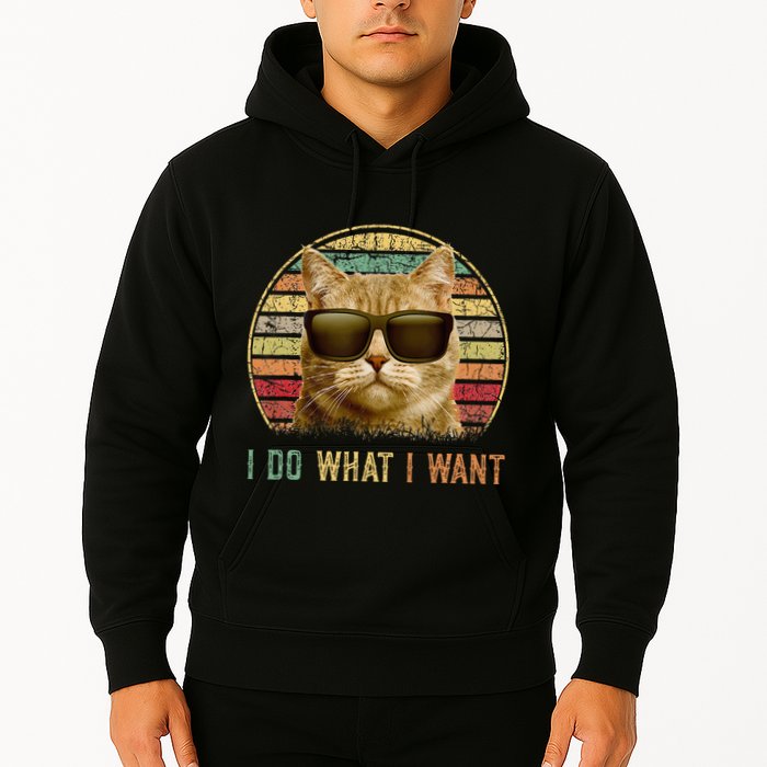 Retro 70s 80s 90s Meowy Cat I Do What I Want Funny Cat Hoodie