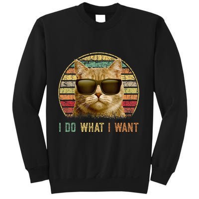Retro 70s 80s 90s Meowy Cat I Do What I Want Funny Cat Sweatshirt