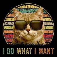 Retro 70s 80s 90s Meowy Cat I Do What I Want Funny Cat Drawstring Bag
