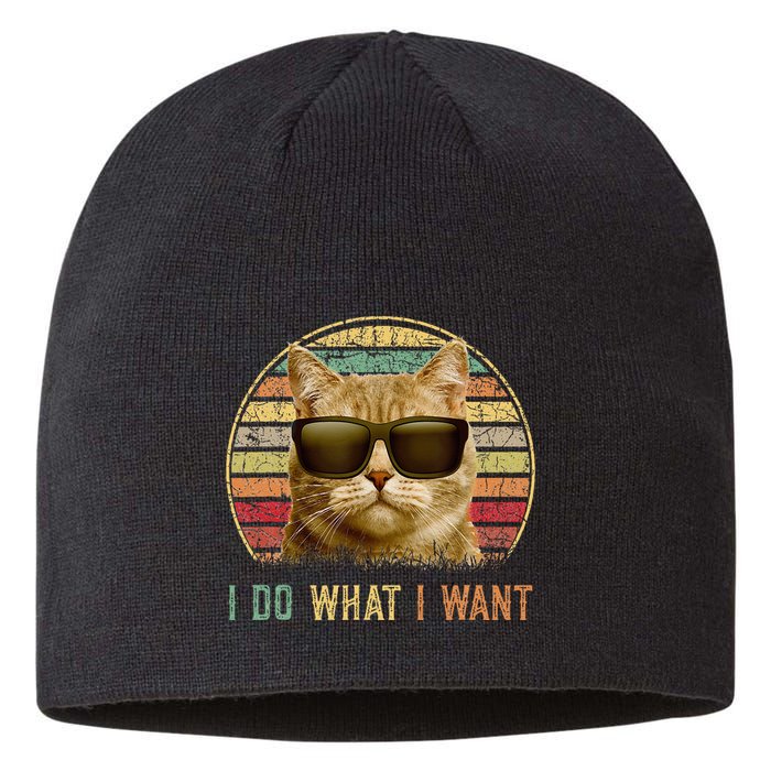 Retro 70s 80s 90s Meowy Cat I Do What I Want Funny Cat Sustainable Beanie