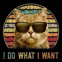 Retro 70s 80s 90s Meowy Cat I Do What I Want Funny Cat Youth Performance Sprint T-Shirt