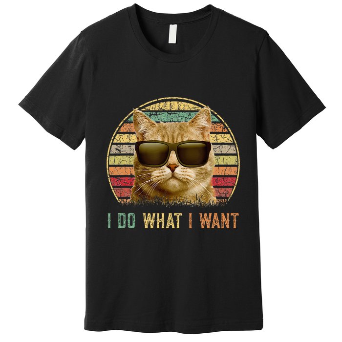 Retro 70s 80s 90s Meowy Cat I Do What I Want Funny Cat Premium T-Shirt