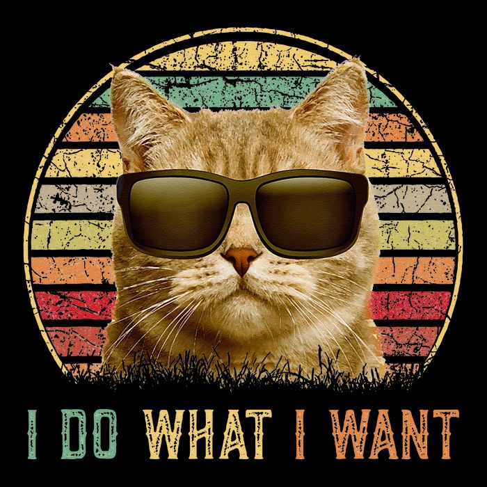 Retro 70s 80s 90s Meowy Cat I Do What I Want Funny Cat Premium T-Shirt
