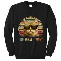 Retro 70s 80s 90s Meowy Cat I Do What I Want Funny Cat Tall Sweatshirt