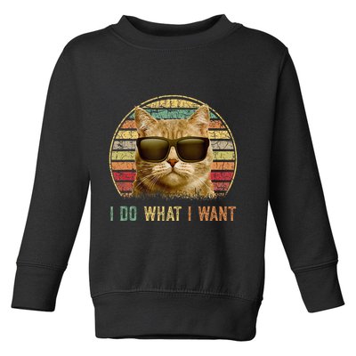 Retro 70s 80s 90s Meowy Cat I Do What I Want Funny Cat Toddler Sweatshirt