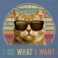 Retro 70s 80s 90s Meowy Cat I Do What I Want Funny Cat Garment-Dyed Sweatshirt