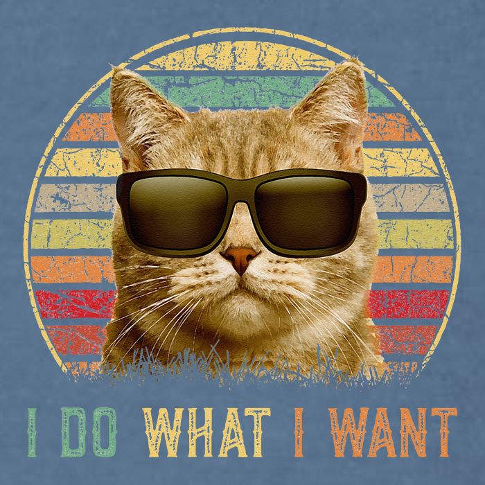 Retro 70s 80s 90s Meowy Cat I Do What I Want Funny Cat Garment-Dyed Sweatshirt