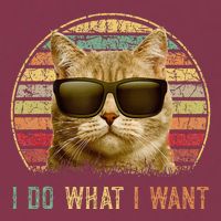 Retro 70s 80s 90s Meowy Cat I Do What I Want Funny Cat 16oz Travel Tumbler