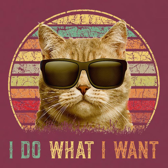 Retro 70s 80s 90s Meowy Cat I Do What I Want Funny Cat 16oz Travel Tumbler