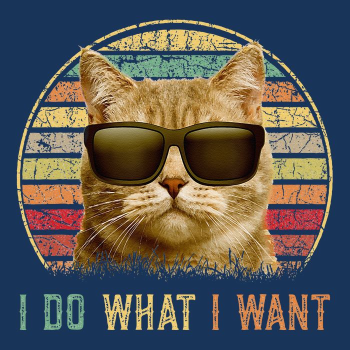 Retro 70s 80s 90s Meowy Cat I Do What I Want Funny Cat Infant Baby Jersey Bodysuit