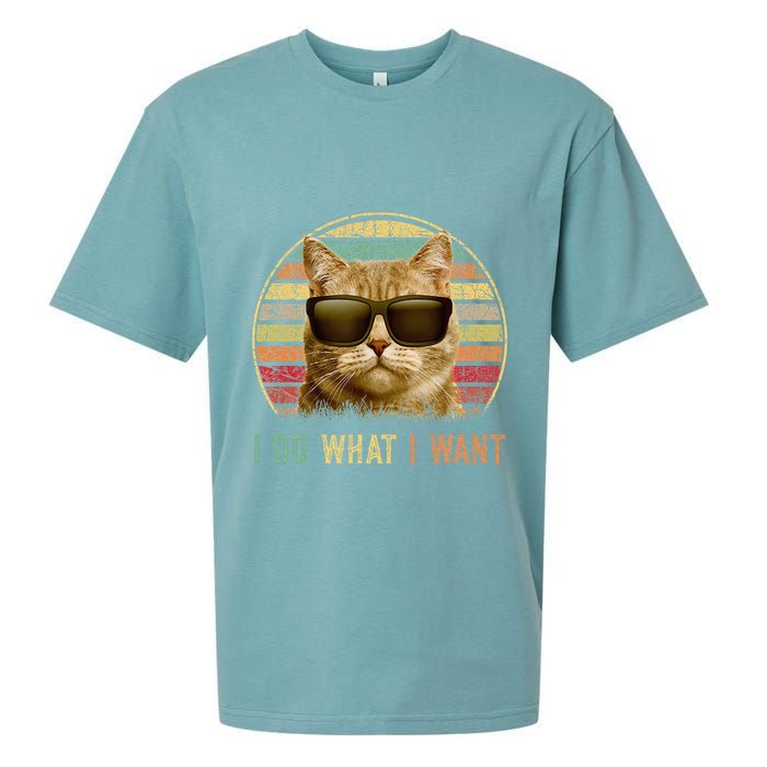 Retro 70s 80s 90s Meowy Cat I Do What I Want Funny Cat Sueded Cloud Jersey T-Shirt