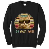 Retro 70s 80s 90s Meowy Cat I Do What I Want Funny Cat Sweatshirt