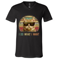 Retro 70s 80s 90s Meowy Cat I Do What I Want Funny Cat V-Neck T-Shirt