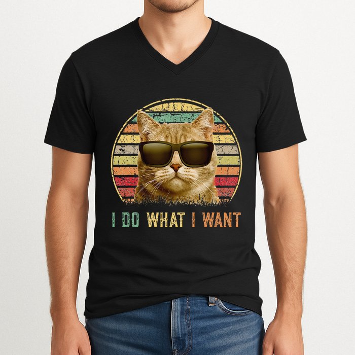 Retro 70s 80s 90s Meowy Cat I Do What I Want Funny Cat V-Neck T-Shirt