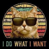 Retro 70s 80s 90s Meowy Cat I Do What I Want Funny Cat 16 in Basic Backpack