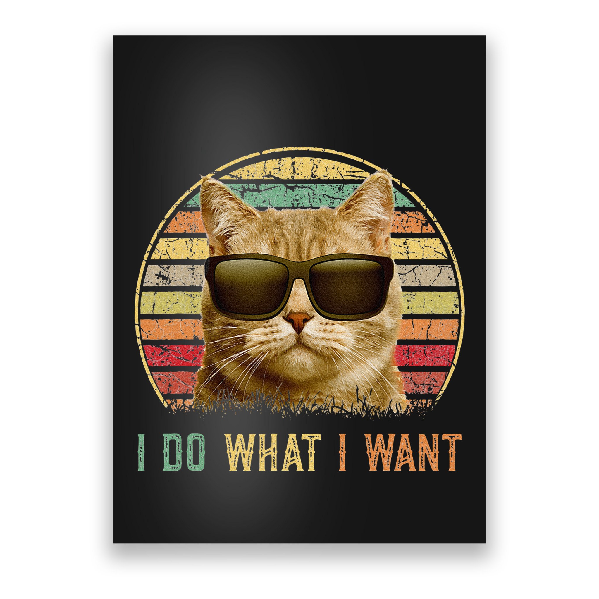 Retro 70s 80s 90s Meowy Cat I Do What I Want Funny Cat Poster