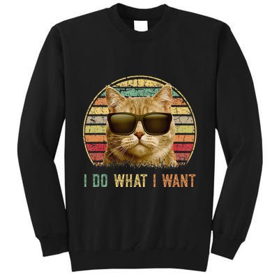 Retro 70s 80s 90s Meowy Cat I Do What I Want Funny Cat Tall Sweatshirt