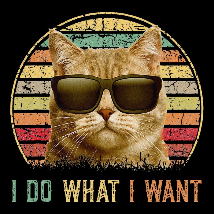 Retro 70s 80s 90s Meowy Cat I Do What I Want Funny Cat Womens Tank Top