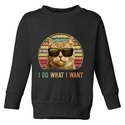 Retro 70s 80s 90s Meowy Cat I Do What I Want Funny Cat Toddler Sweatshirt