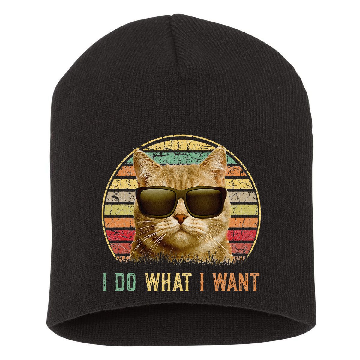Retro 70s 80s 90s Meowy Cat I Do What I Want Funny Cat Short Acrylic Beanie