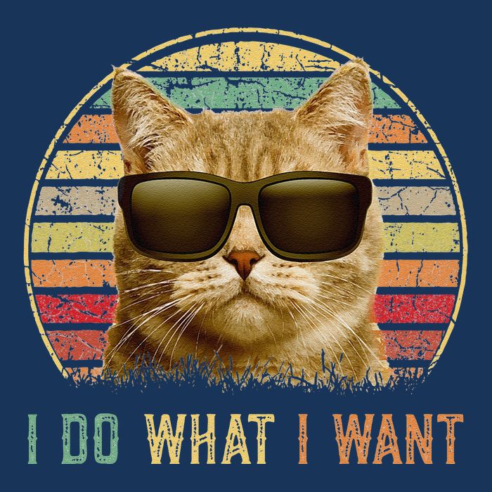 Retro 70s 80s 90s Meowy Cat I Do What I Want Funny Cat Infant Baby Jersey Bodysuit