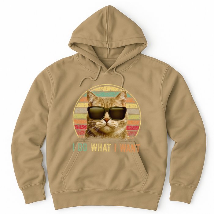 Retro 70s 80s 90s Meowy Cat I Do What I Want Funny Cat Hoodie